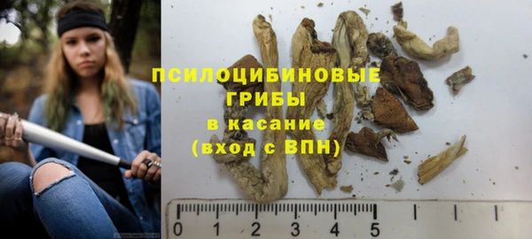 шишки Абинск