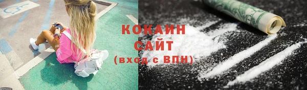 шишки Алексин
